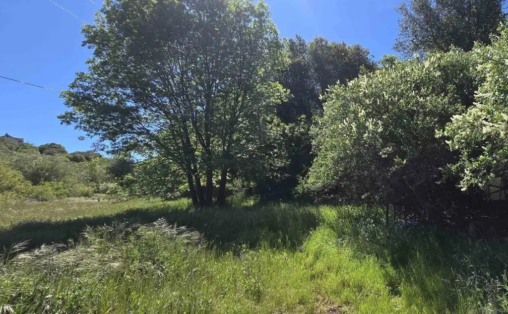 38 Creek Rd., Julian, CA 92036 - #1