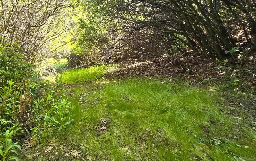 38 Creek Rd., Julian, CA 92036 - #2