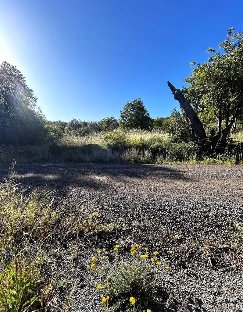 Oak Way, Julian, CA 92036 - #1