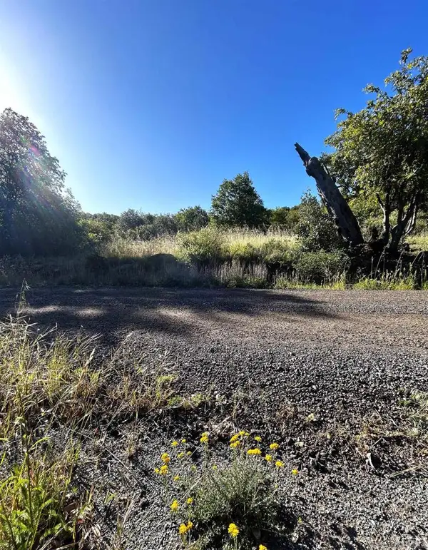 Oak Way, Julian, CA 92036