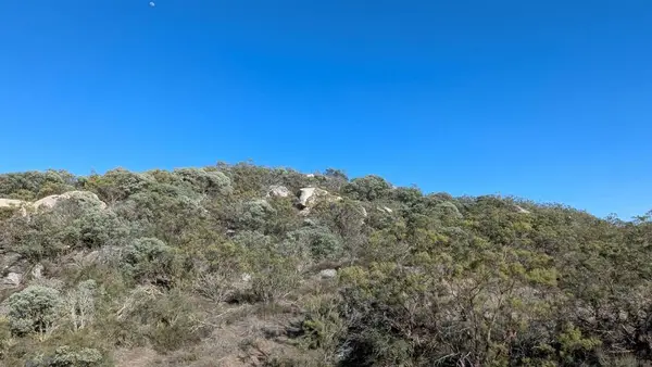 778 Crazy Horse Canyon, Aguanga, CA 92536