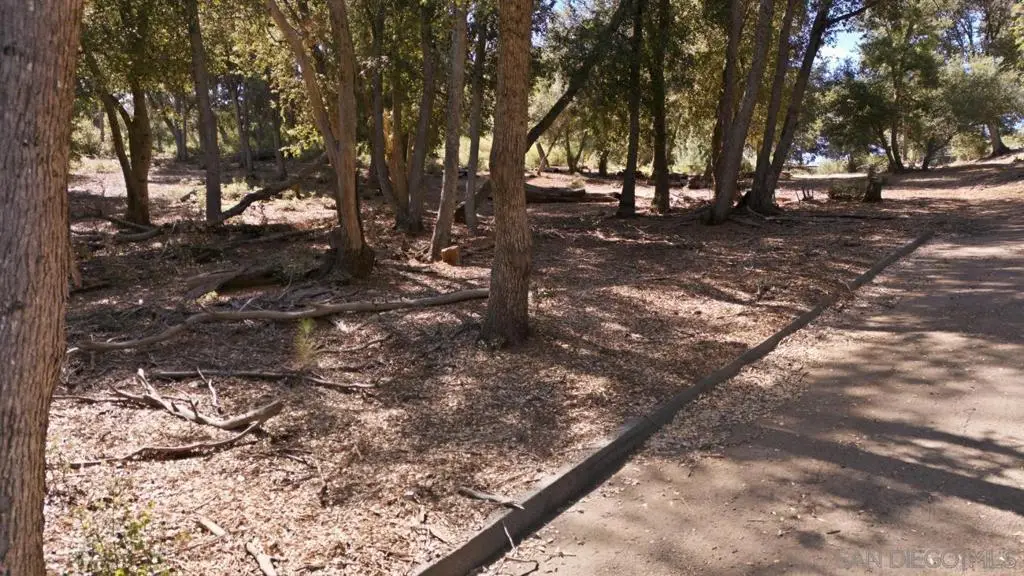 0 Toyan Mountain Lane, Julian, CA 92036 - #1