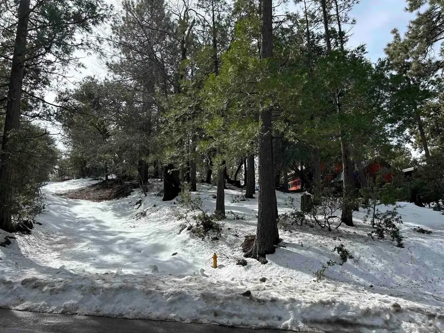 8 Saunders Meadow Road, Idyllwild, CA 92549 - #2