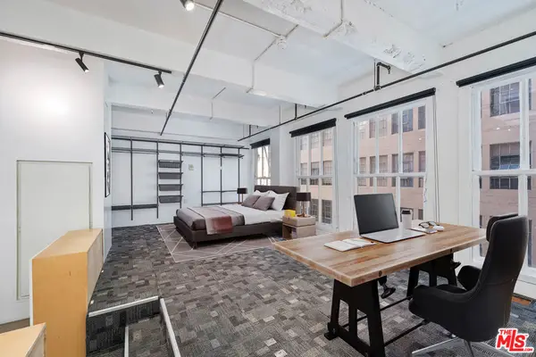 738 S Los Angeles Street #305, Los Angeles, CA 90014