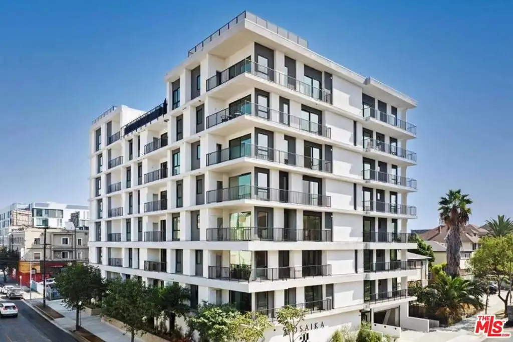 904 S New Hampshire Avenue #309, Los Angeles, CA 90006 - #1