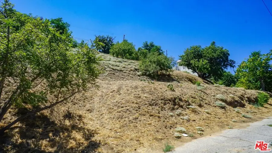 452 Beech Street, Los Angeles, CA 90065 - #3