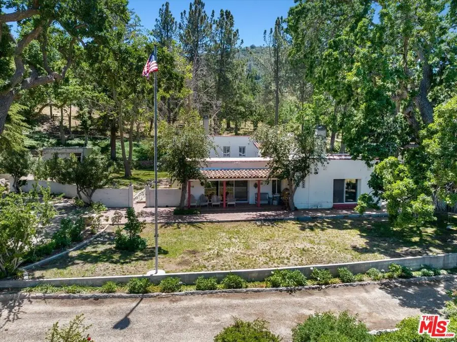 31008 Pine Canyon Road, Lake Hughes, CA 93532 - #3