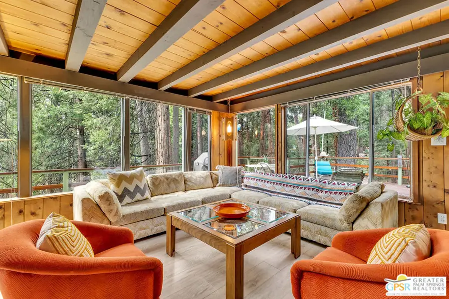 25655 Tahquitz Drive, Idyllwild, CA 92549 - #2