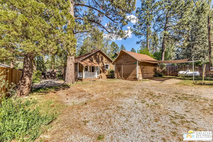 59302 Donna Mae Place, Mountain Center, CA 92561 - #3