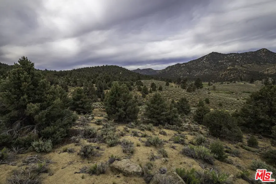 0 Pinion Drive, Inyokern, CA 93527 - #3