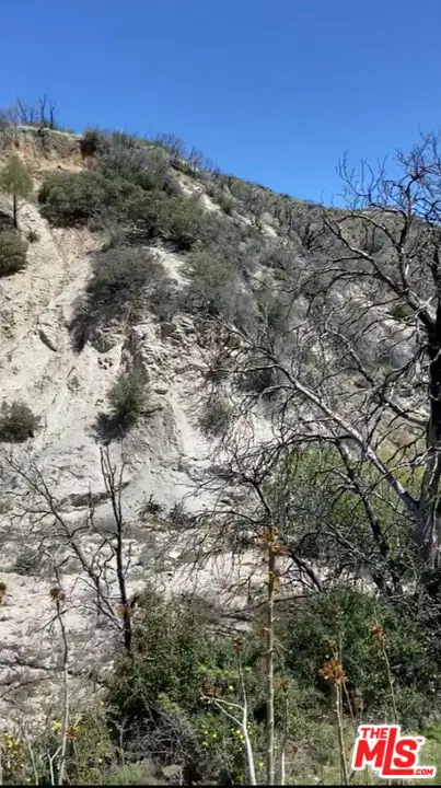 0 Pine Canyon Road, Lake Hughes, CA 93532 - #3