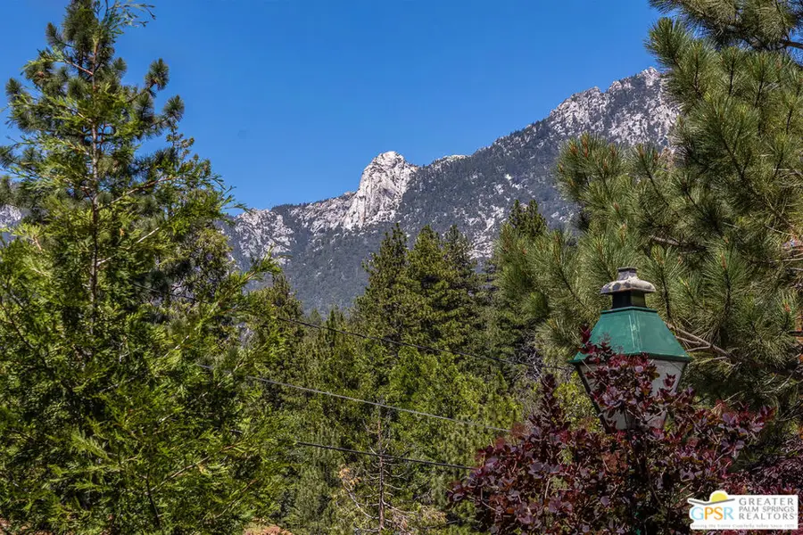 54111 Linger Lane, Idyllwild, CA 92549 - #2
