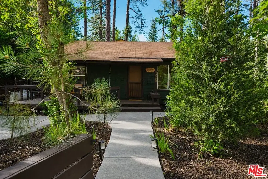 53250 Meadow Drive, Idyllwild, CA 92549 - #1
