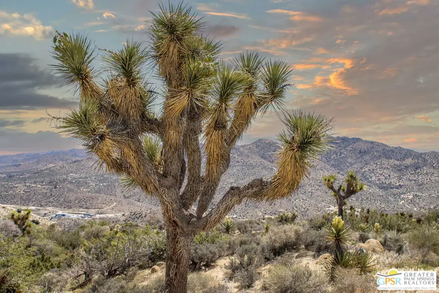 53765 Ridge Road, Yucca Valley, CA 92284 - #3