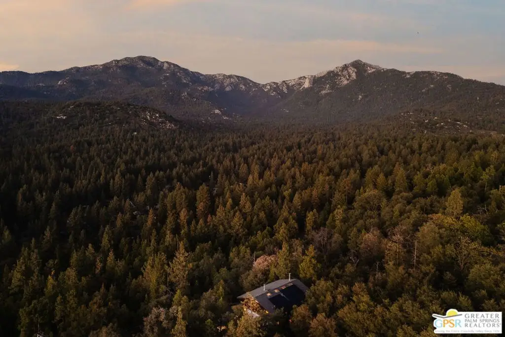 52915 Middle Ridge Drive, Idyllwild, CA 92549 - #1