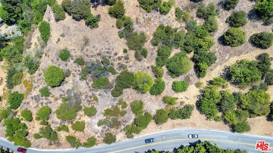 2813 Benedict Canyon Dr, Beverly Hills, CA 90210 - #3