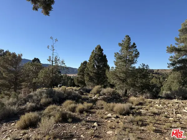 46280 Boron Lane, Big Bear City, CA 92314