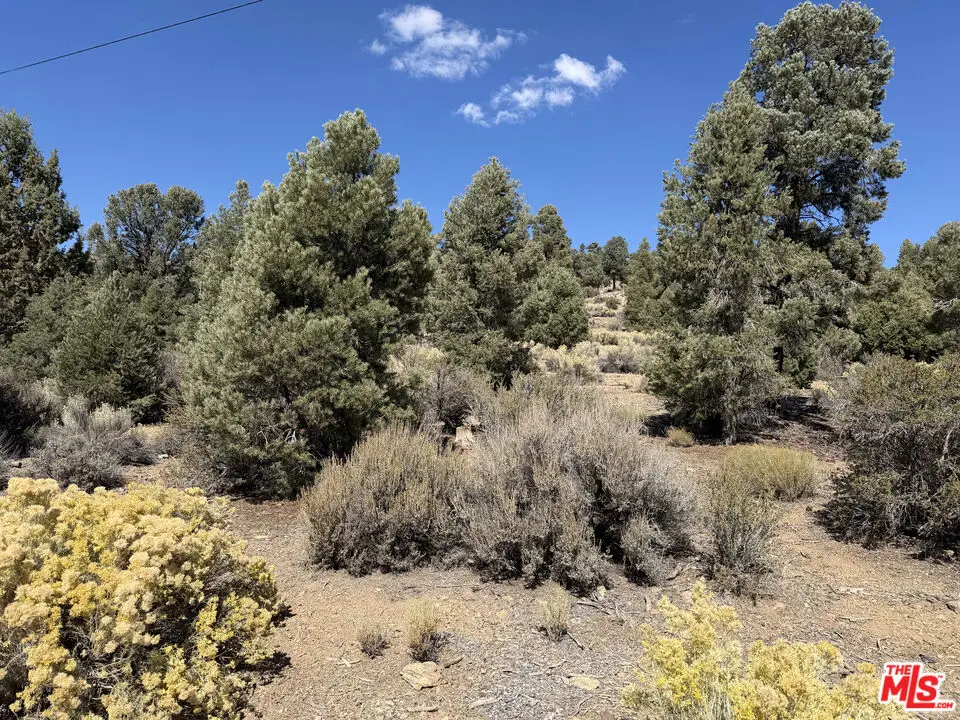 0 Falling Springs Road, Big Bear City, CA 92314 - #1