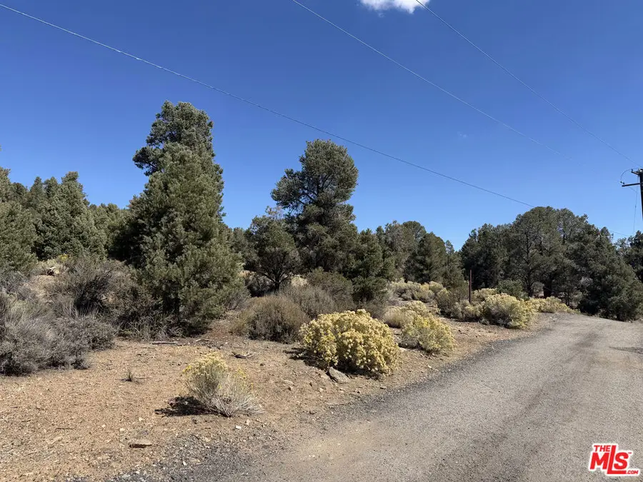0 Falling Springs Road, Big Bear City, CA 92314 - #3