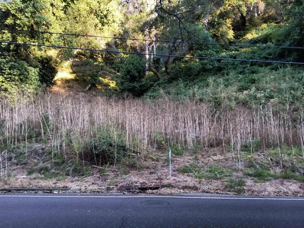 6340 Shepherd Canyon Rd, Oakland, CA 94611 - #1