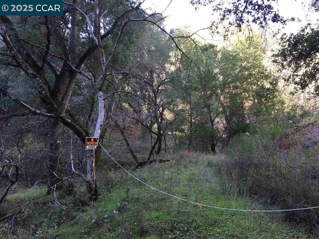 Lark Ln, Alamo, CA 94507 - Image #1