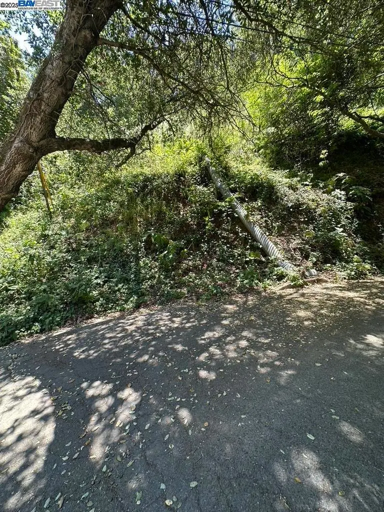 Chelton Drive, Oakland, CA 94603 - #2