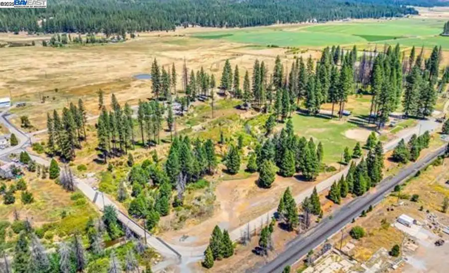 185 Spirit Spgs, Greenville, CA 95947 - Image #3