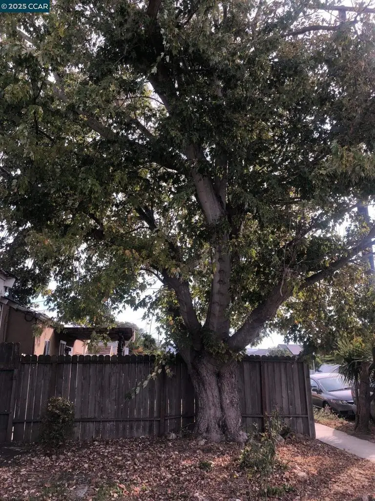 1917 Bush, San Pablo, CA 94806 - Image #2