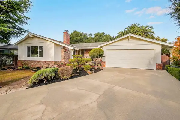 20255 Yeandle Ave, Castro Valley, CA 94546