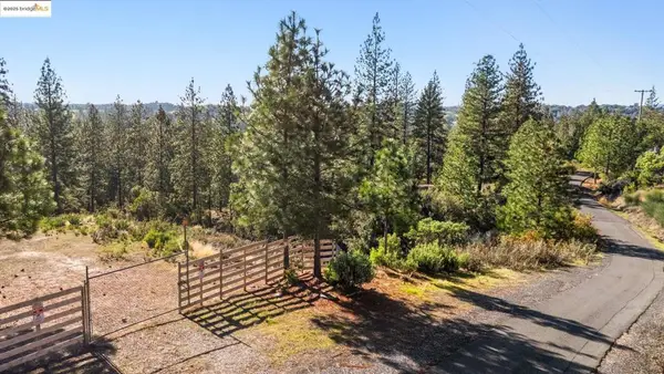 11210 Forest Park Rd, Columbia, CA 95310