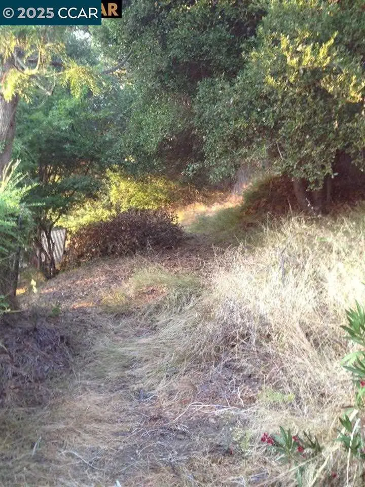 0 0 Alley Way, Oakland, CA 94611 - #3