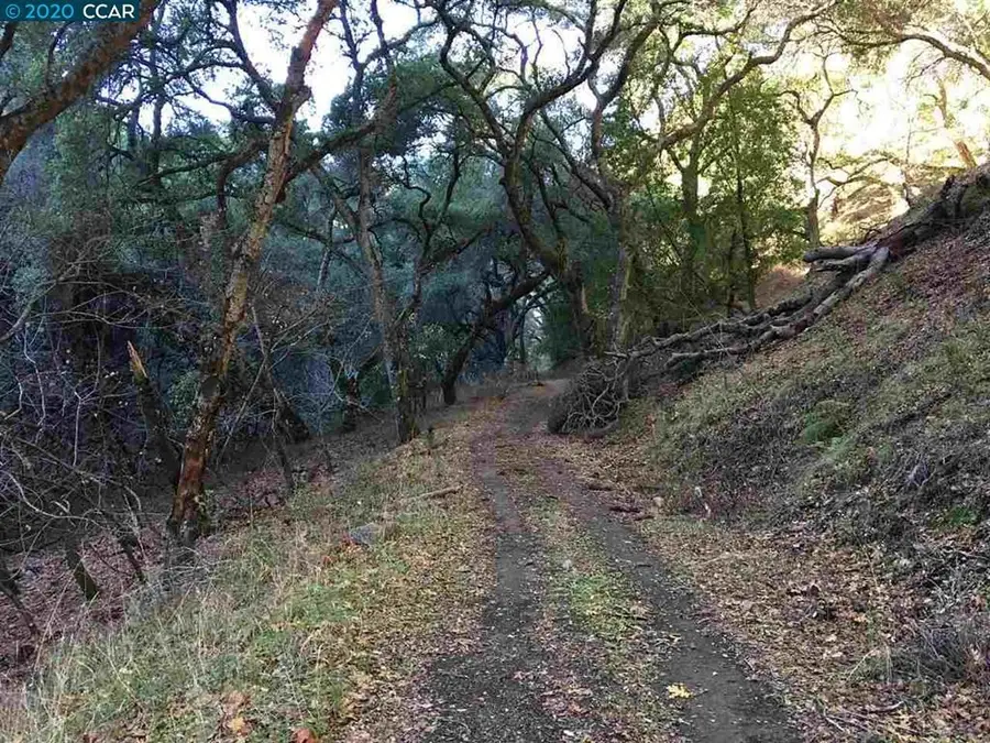 Lark Ln, Alamo, CA 94507 - #3