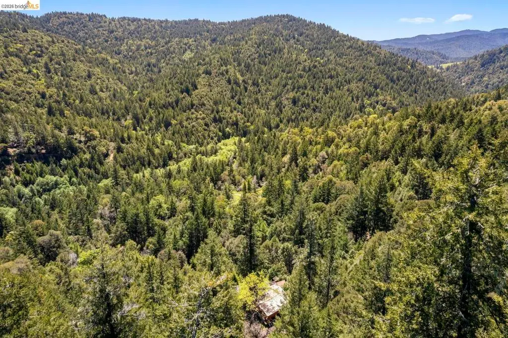1 Panther Gap Rd., Honeydew, CA 95545 - #1