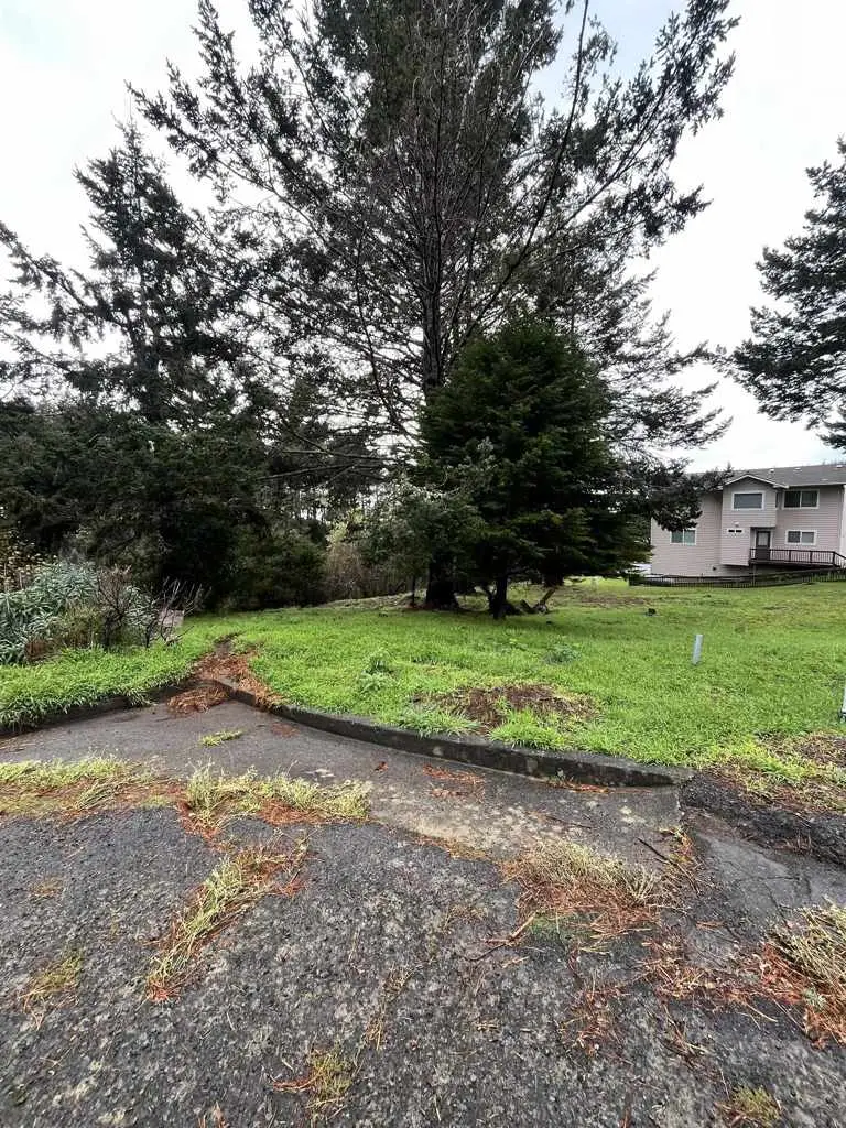 22 Spruce Ct, Whitethorn, CA 95589 - #3