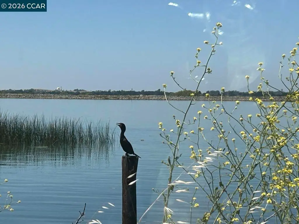 0 Bradford Island Rd, Oakley, CA 94561 - #1