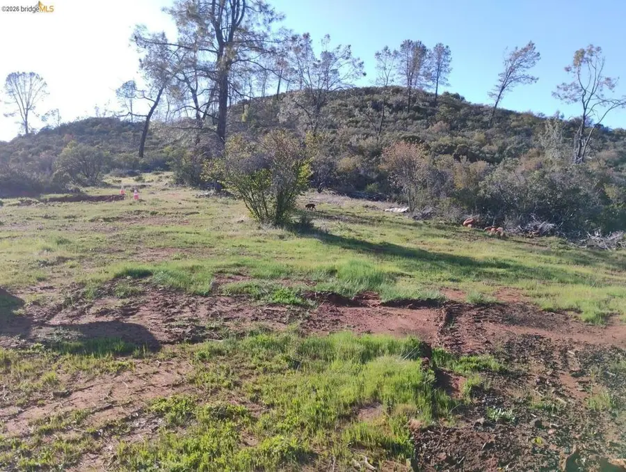 4083 Green Valley Rd, Pollock Pines, CA 95726 - #3