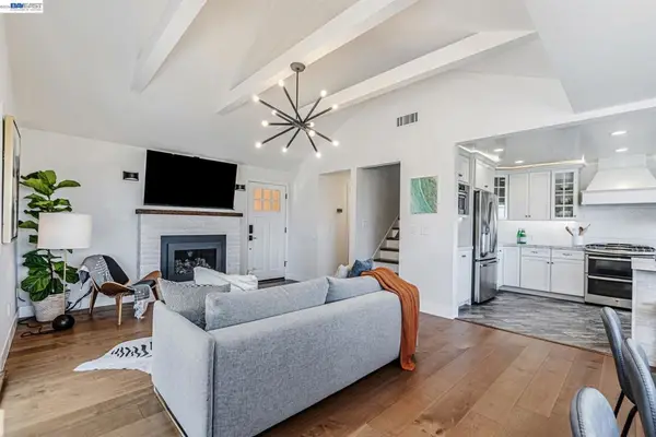 208 208 Princeton Ave, Mill Valley, CA 94941