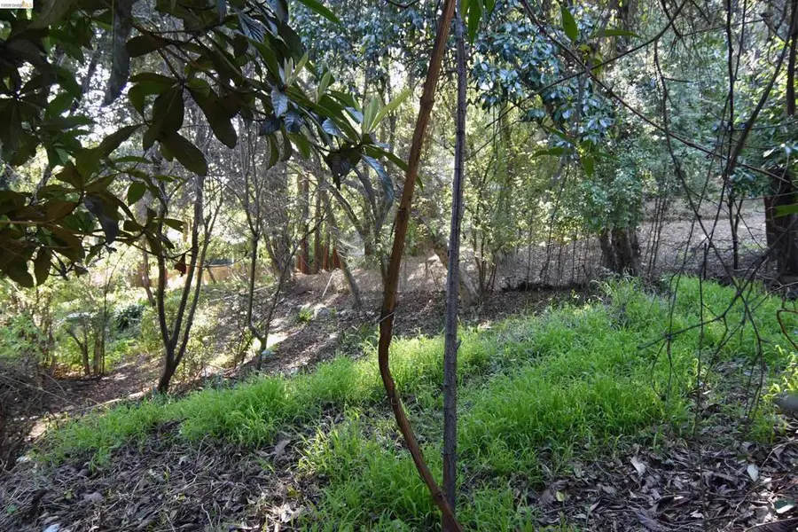 962 Regal Rd, Berkeley, CA 94708 - #3