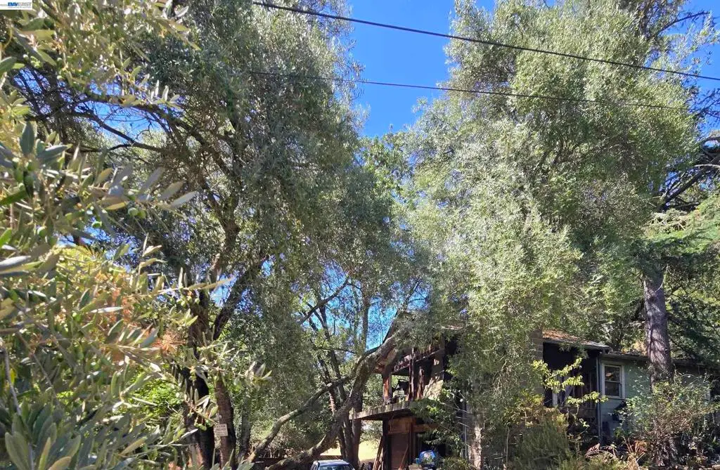 821 Kilkare Rd, Sunol, CA 94586 - #1