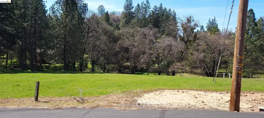 19808 Cottonwood St, Groveland, CA 95321 - #2