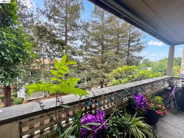 29599 Vanderbilt St #204, Hayward, CA 94544