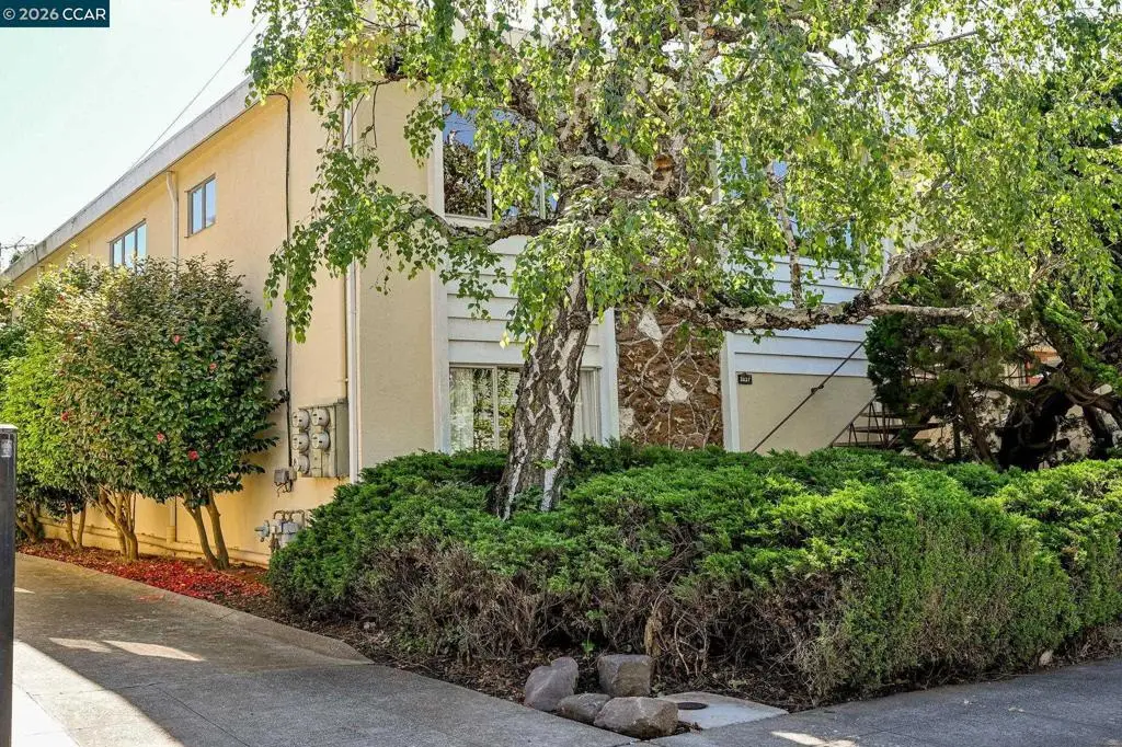 3037 College Ave, Berkeley, CA 94705 - #1