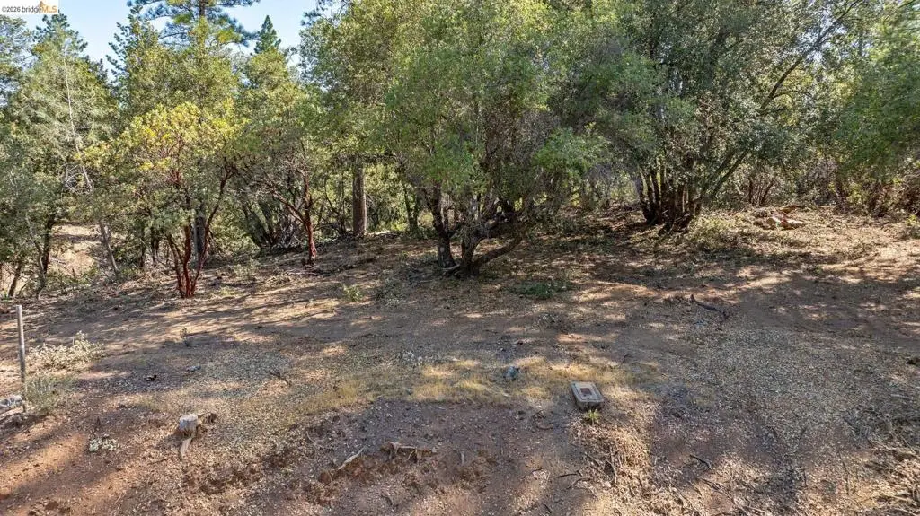 18465 Harper Road, Groveland, CA 95321 - #1