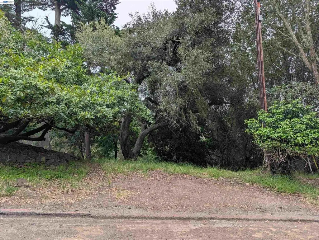 0 Chelsea Ct, Oakland, CA 94603 - #1