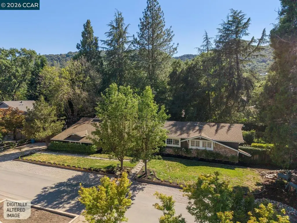 699 Terry Ln, Danville, CA 94526 - #1