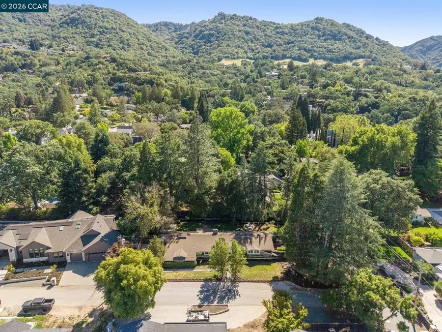 699 Terry Ln, Danville, CA 94526 - #2