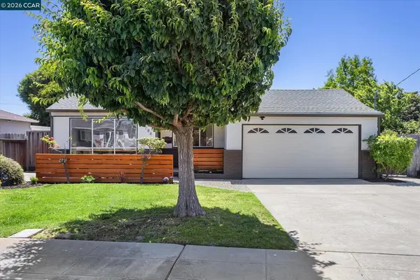 1784 Via Natal, San Lorenzo, CA 94580