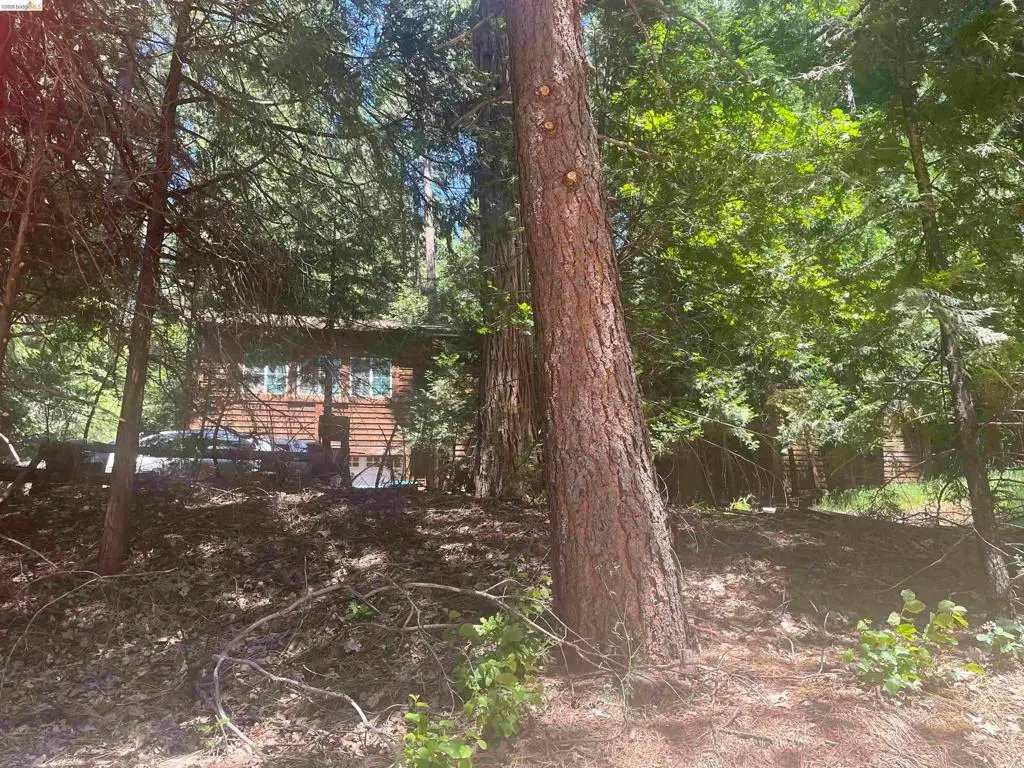 3201 Amber Trl, Pollock Pines, CA 95726 - #1