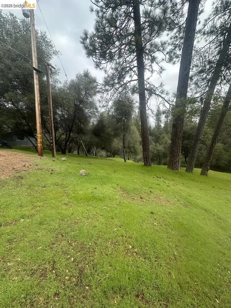 13095 Fox Ct, Groveland, CA 95321 - #2