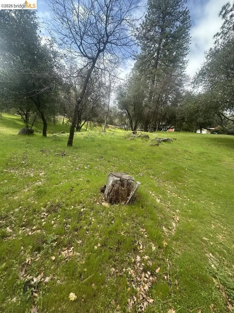 13095 Fox Ct, Groveland, CA 95321 - #3